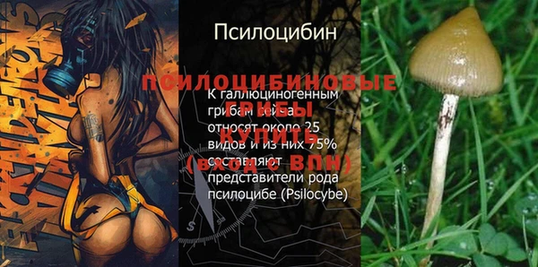 дмт Красноперекопск