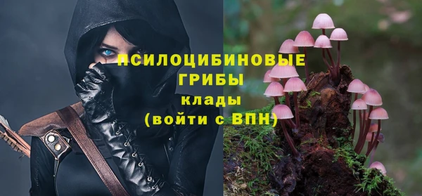 спайс Краснослободск
