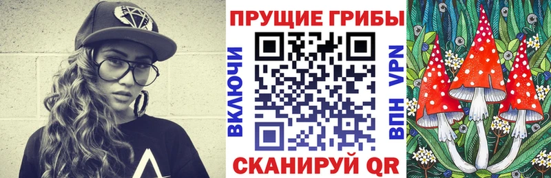 ссылка на мегу маркетплейс  Лениногорск  Галлюциногенные грибы мицелий 